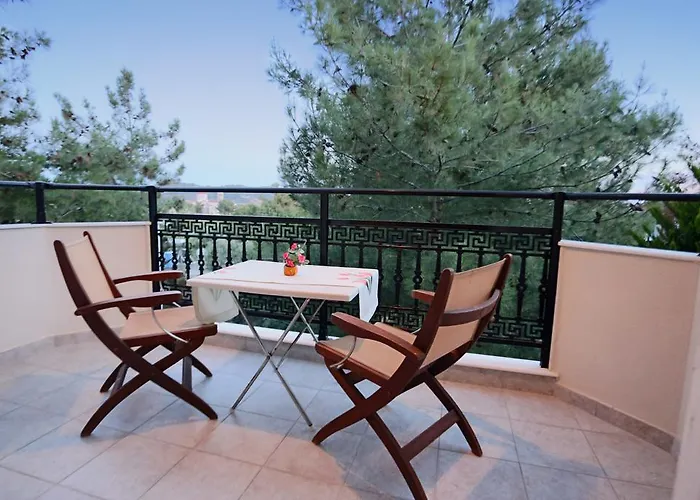 Katerina * ポトス