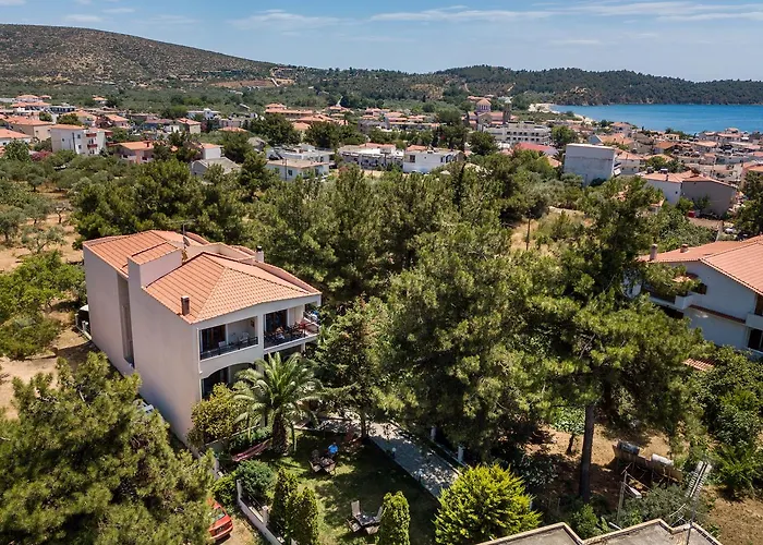 Katerina * ポトス