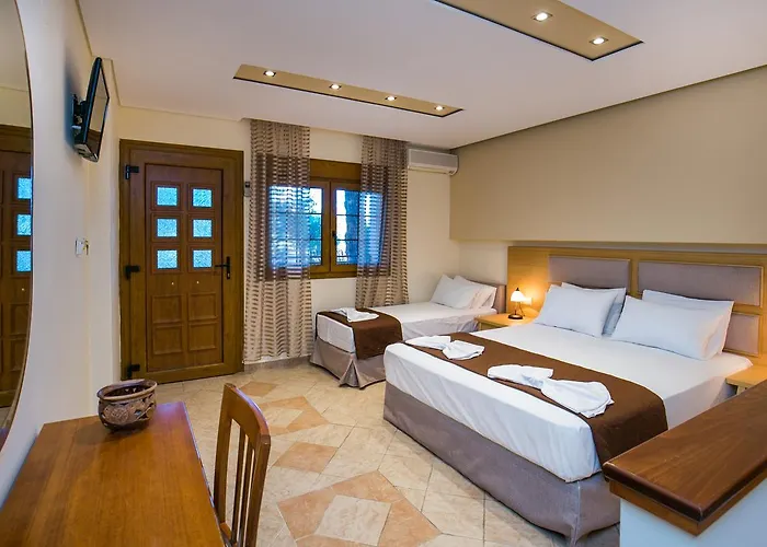 Katerina * ポトス