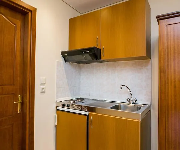 Katerina * ポトス